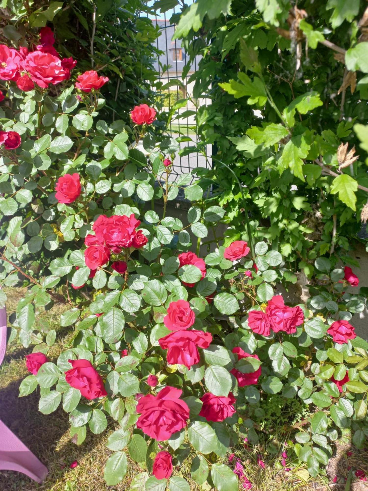 Maison Avec Jardin Adé Kültér fotó